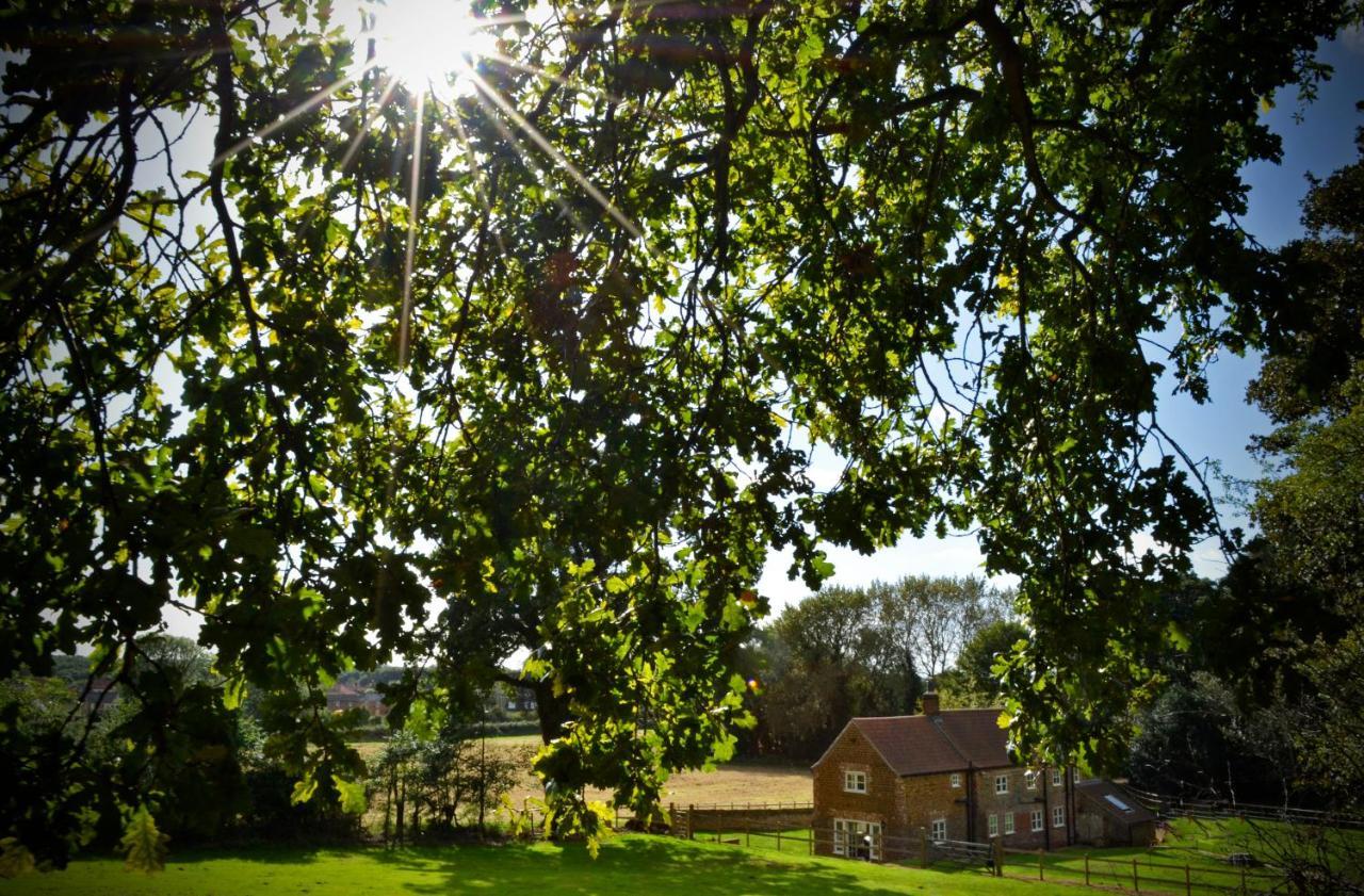 Ingoldisthorpe Rural Coastal Self-Catering Accommodation For 8, Near Sandringham Estate, Norfolk מראה חיצוני תמונה